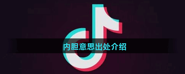 內(nèi)膽意思出處介紹