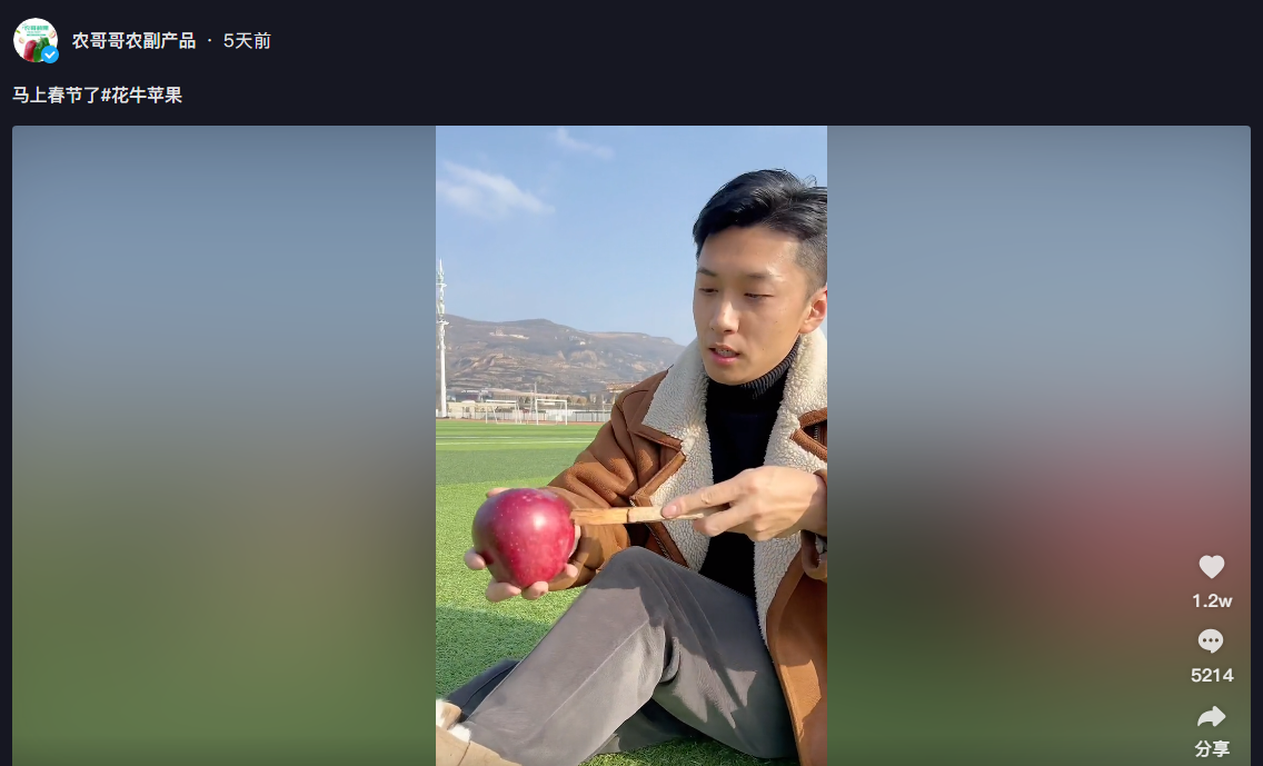 天水的蘋果天水的人出處含義介紹