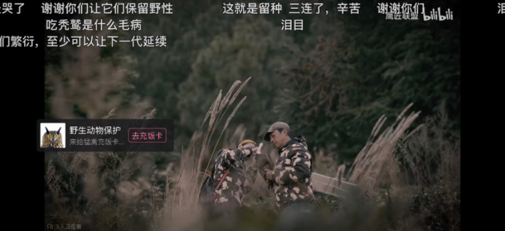 B站嗶哩嗶哩公益平臺(tái)正式上線