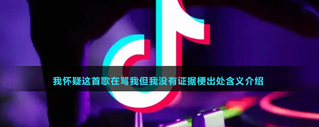 我懷疑這首歌在罵我但我沒有證據(jù)梗出處含義介紹
