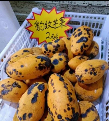 會(huì)睡覺的魚梗出處含義介紹