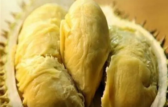 奶油尖尖梗出處含義介紹