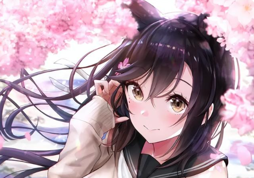 《碧藍(lán)航線》9月1日更新總結(jié)黑聲望的聲優(yōu)鎖定川澄綾子真成saber了