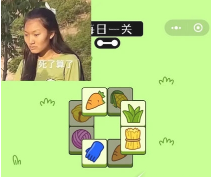 驢了個驢梗出處含義介紹