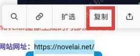《novelai》圖像生成下載注冊(cè)方法