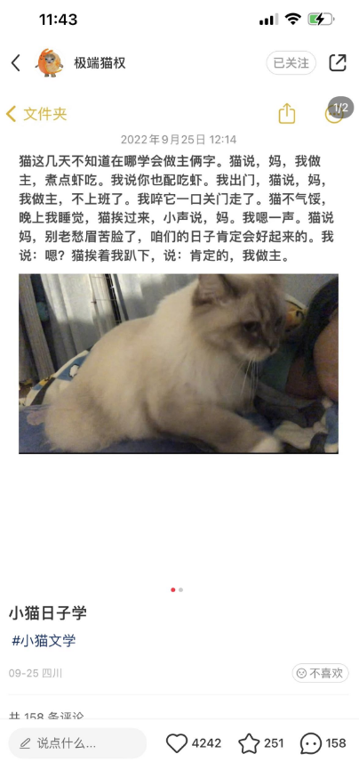 小貓文學梗出處含義