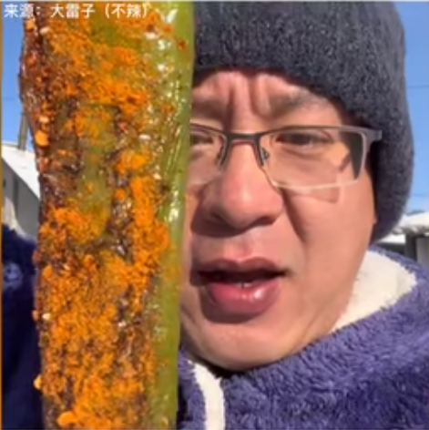 不辣椒響樂梗出處含義介紹