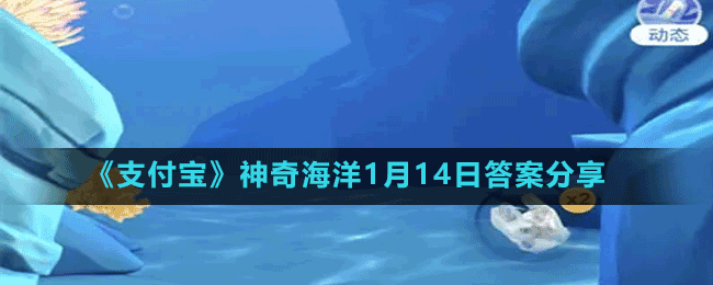 《支付寶》神奇海洋1月14日答案分享