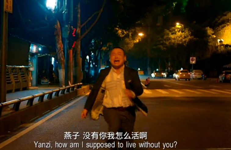 燕子又要走了梗出處含義介紹
