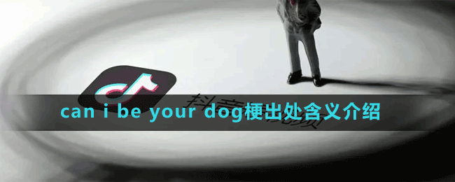 can i be your dog梗出處含義介紹