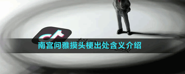南宮問雅摸頭梗出處含義介紹