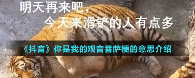 《抖音》你是我的觀音菩薩梗的意思介紹