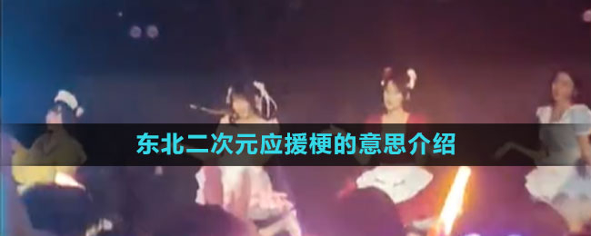 東北二次元應援梗的意思介紹
