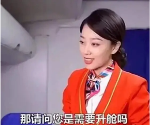 升艙的錢(qián)我來(lái)出表情包大全