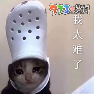 我不會維魯斯梗的意思介紹