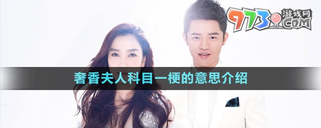 奢香夫人科目一梗的意思介紹