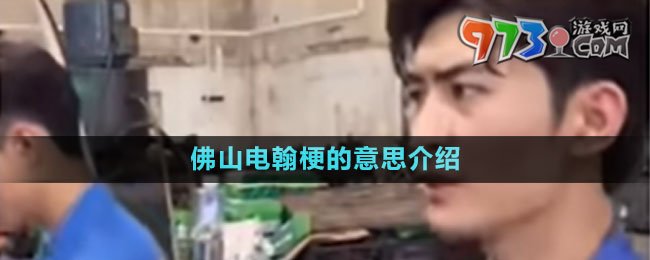 《抖音》佛山電翰梗的意思介紹