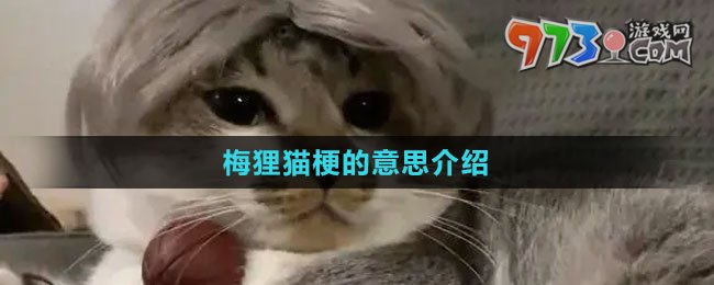 《抖音》梅貍貓梗的意思介紹