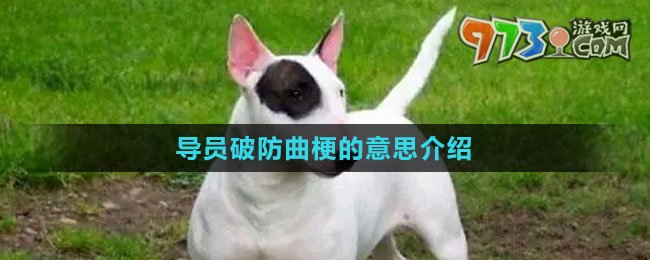 《抖音》導(dǎo)員破防曲梗的意思介紹