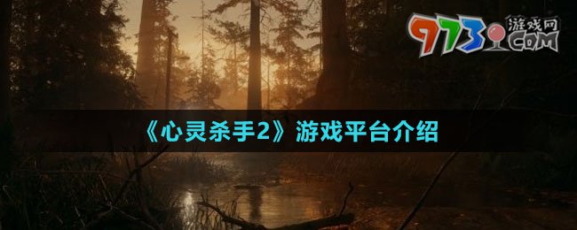 《心靈殺手2》游戲平臺(tái)介紹