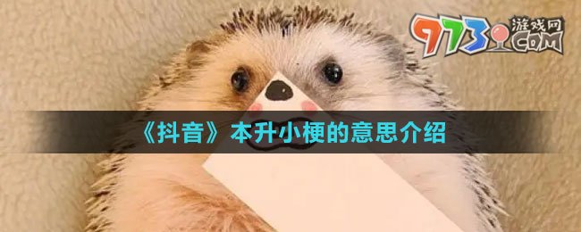 《抖音》本升小梗的意思介紹