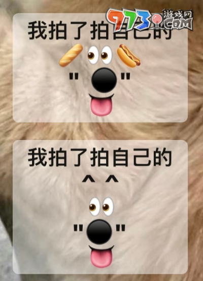 《微信》拍一拍小動物圖案分享