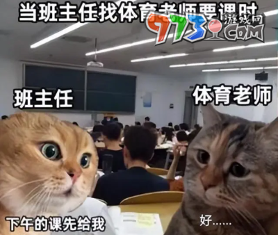 《抖音》貓貓對話梗的意思介紹