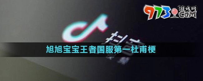 旭旭寶寶王者國服第一杜甫梗的意思介紹