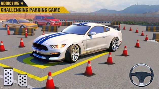 3D停車場(chǎng)駕駛截圖(1)