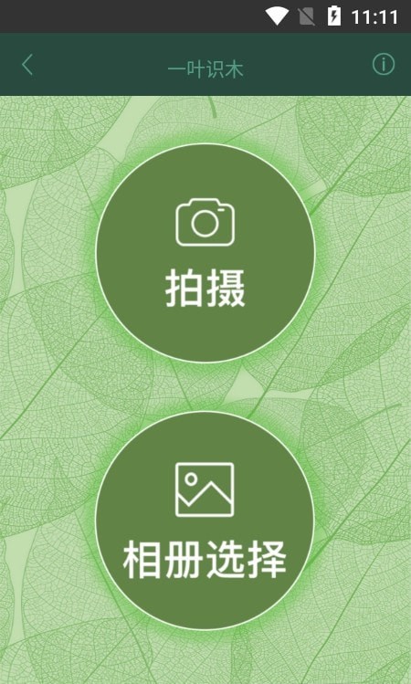 一葉識(shí)木截圖(4)