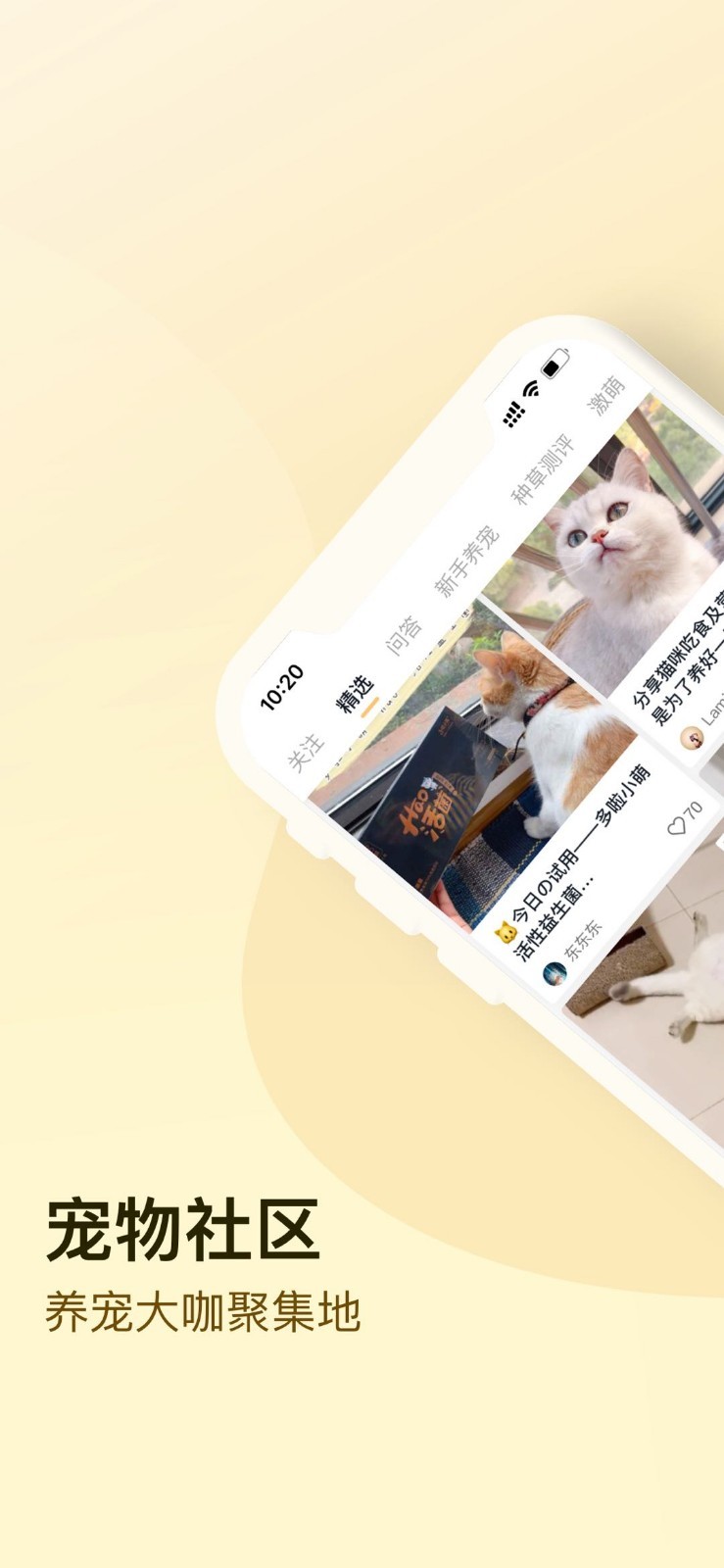 小萌貓短視頻截圖(4)