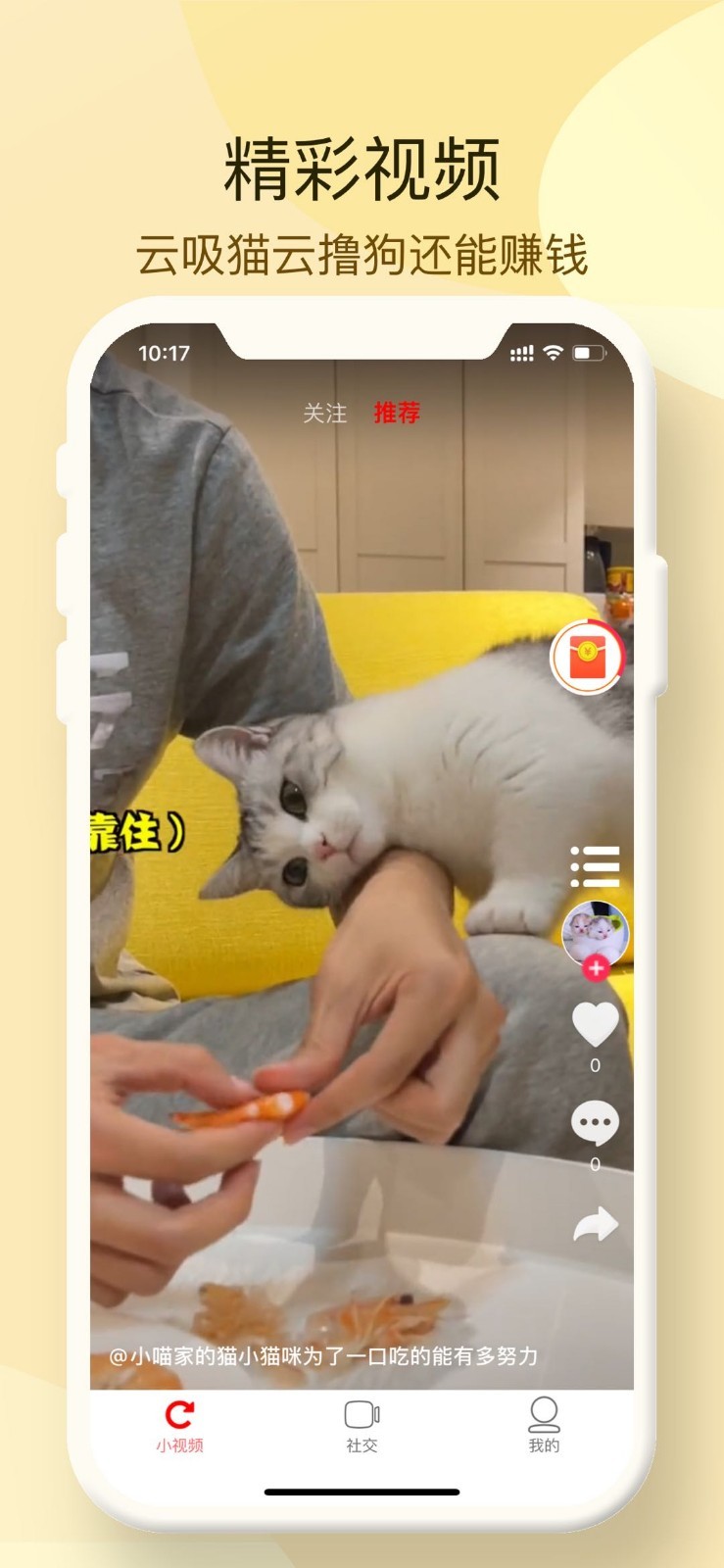 小萌貓短視頻截圖(1)