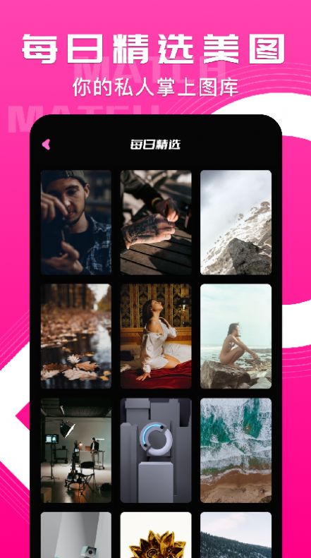 小鳥(niǎo)主題壁紙截圖(4)