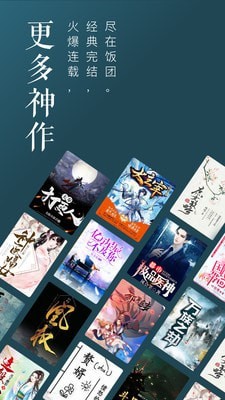 飯團(tuán)追書(shū)免費(fèi)版截圖(4)