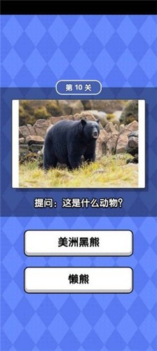 動(dòng)物滑滑樂(lè)截圖(4)