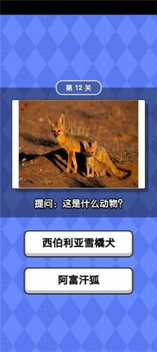 動(dòng)物滑滑樂(lè)截圖(2)