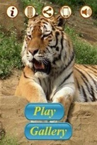猛虎拼圖截圖(2)