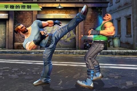 真實(shí)功夫行動(dòng)截圖(2)