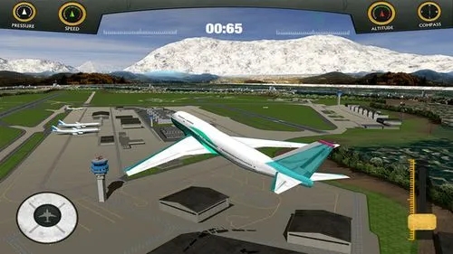 真實空中飛機截圖(2)