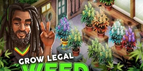 植物大亨截圖(1)
