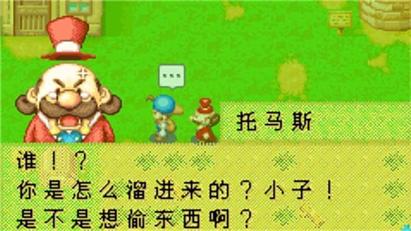 牧場物語礦石鎮(zhèn)的伙伴截圖(4)
