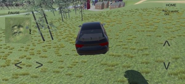 長時間駕駛汽車模擬器截圖(4)