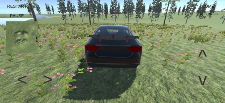 長時間駕駛汽車模擬器截圖(2)