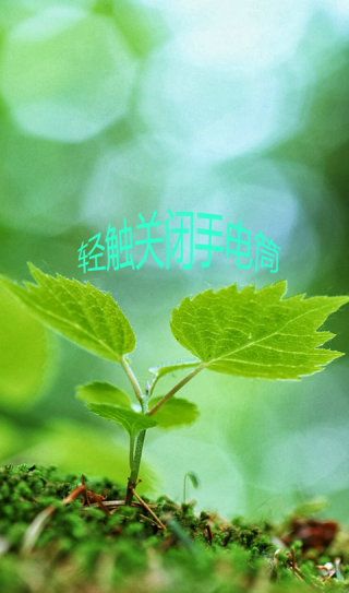 護眼手電筒截圖(2)