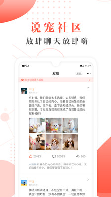 寵才寶最新版截圖(4)