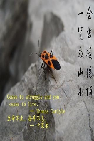 六級考研英語詞匯大圍剿截圖(4)
