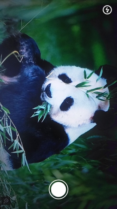 拍照識物截圖(1)