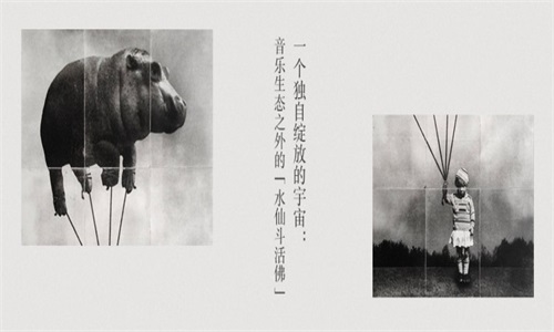 豆瓣音樂截圖(4)