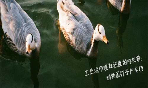 豆瓣音樂截圖(1)