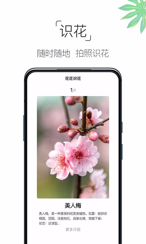 養(yǎng)花大全截圖(4)